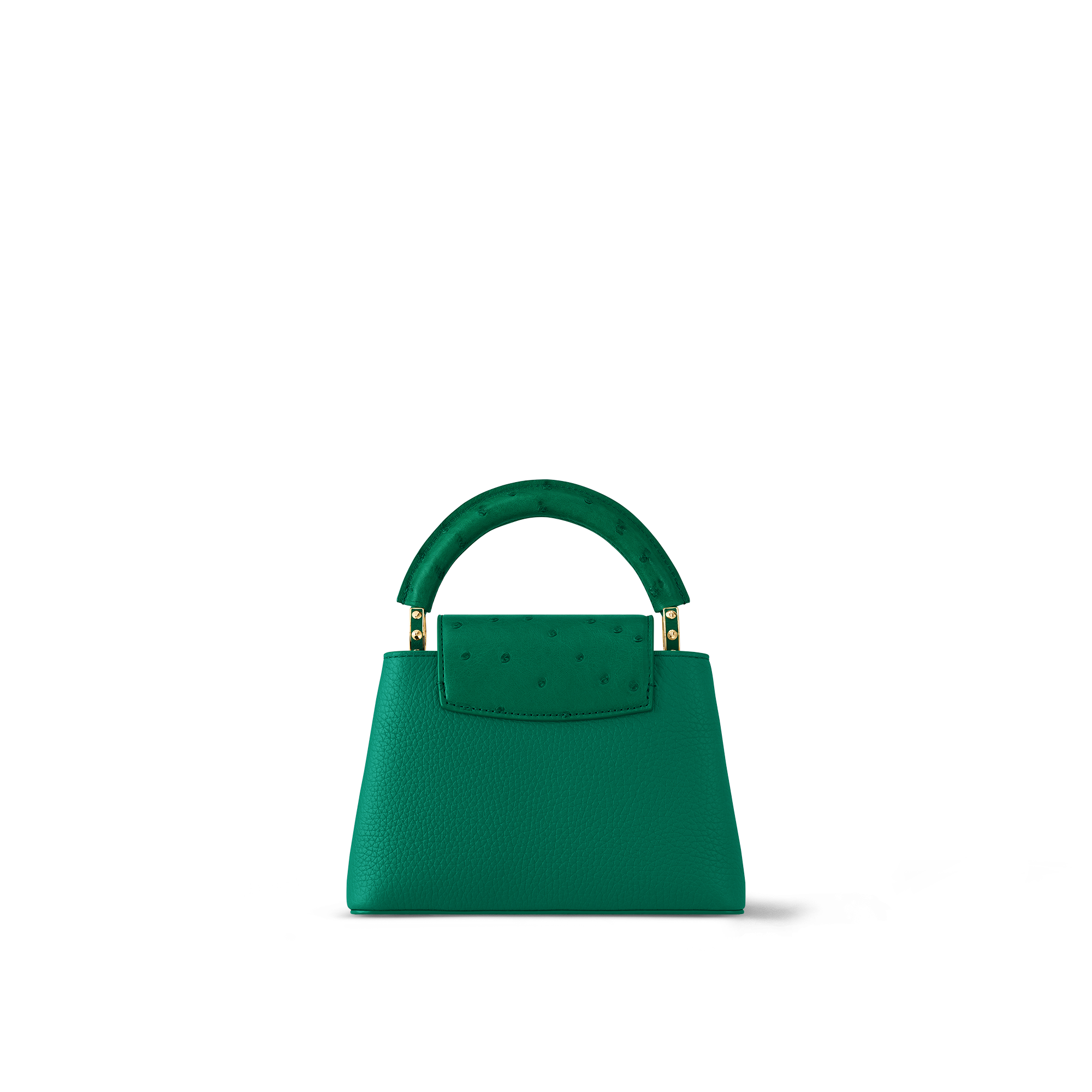 Louis vuitton hot sale capucine mini